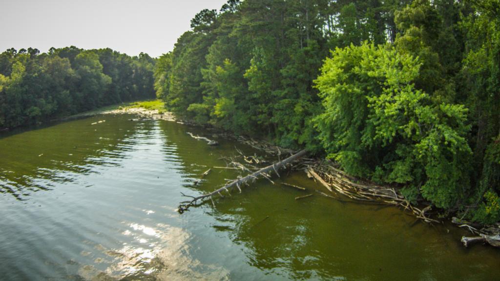 Wheeler lake fishing report