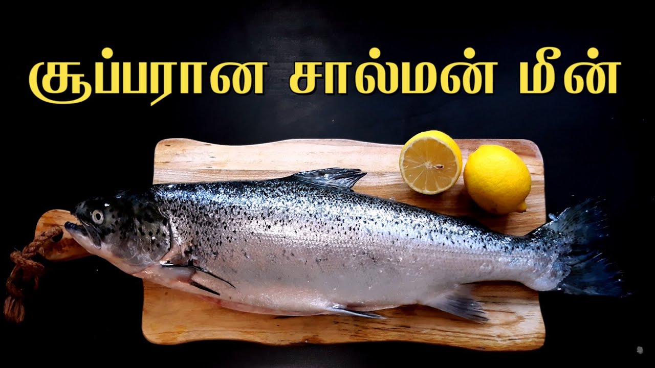 Salmon fish in tamil