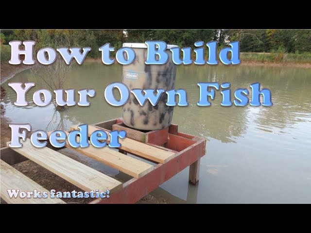 Dock fish feeders