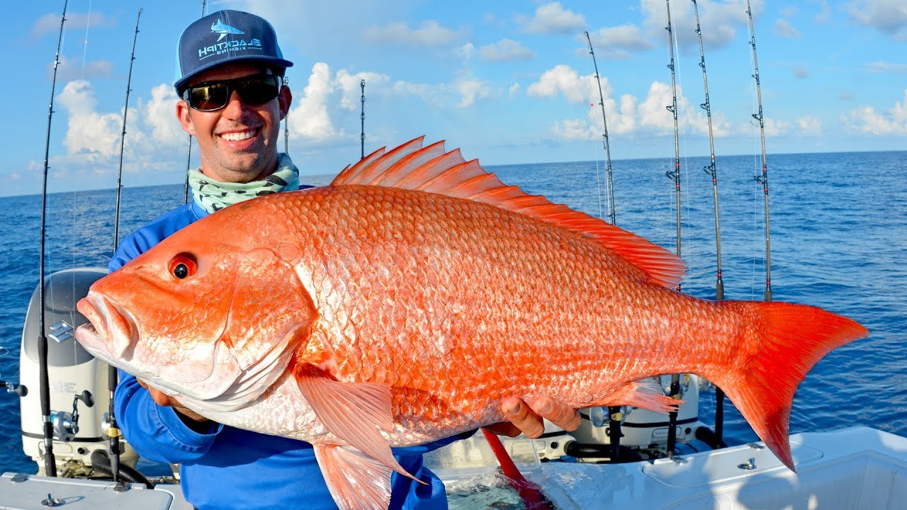 Pristine Waters and Spectacular Views