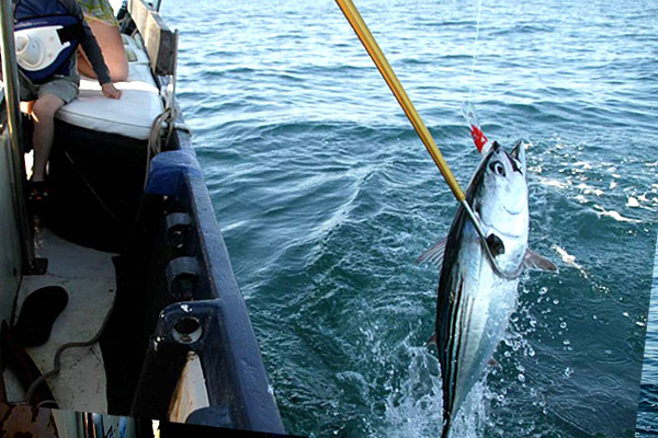 Freshwater Fishing in El Salvador