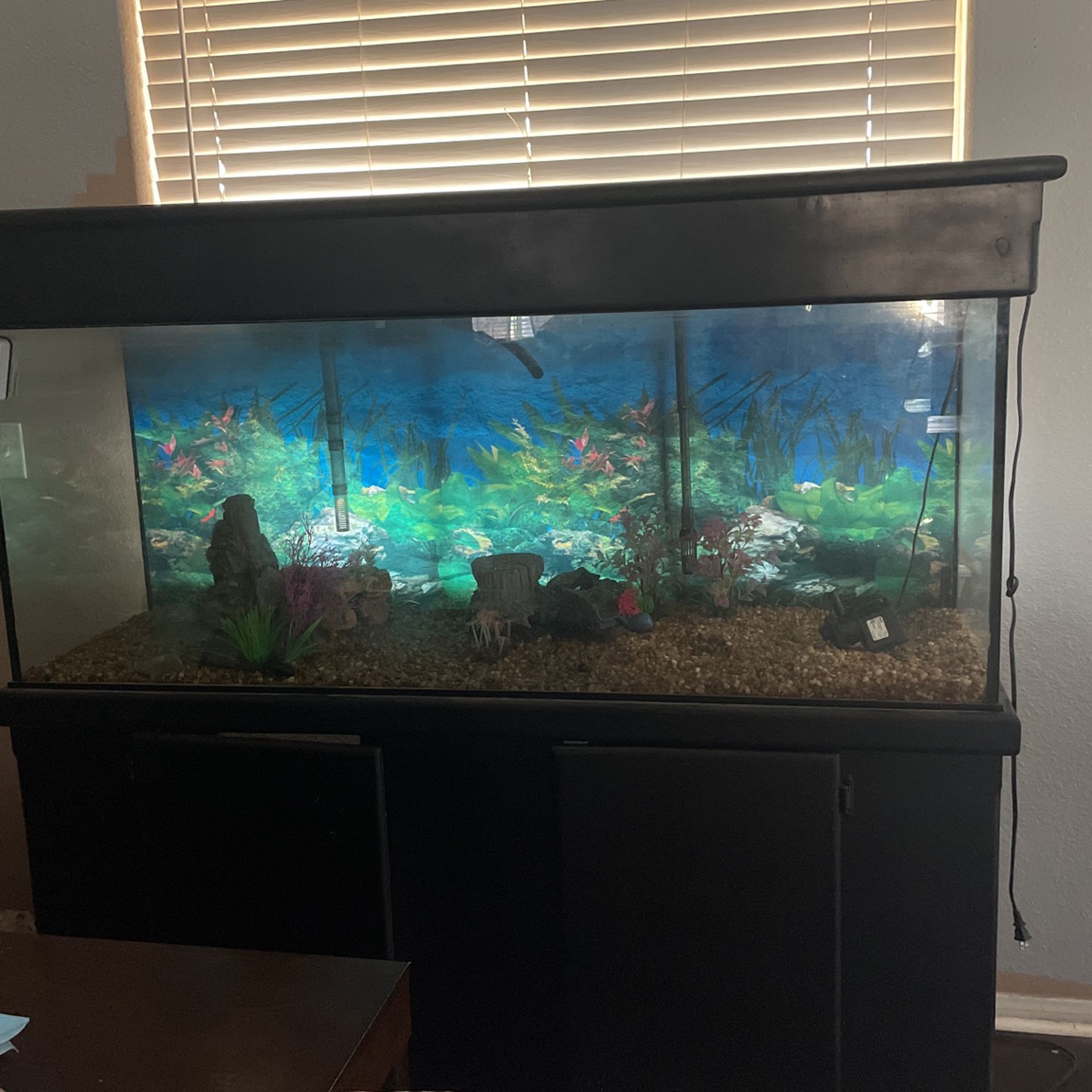 115 gallon fish tank