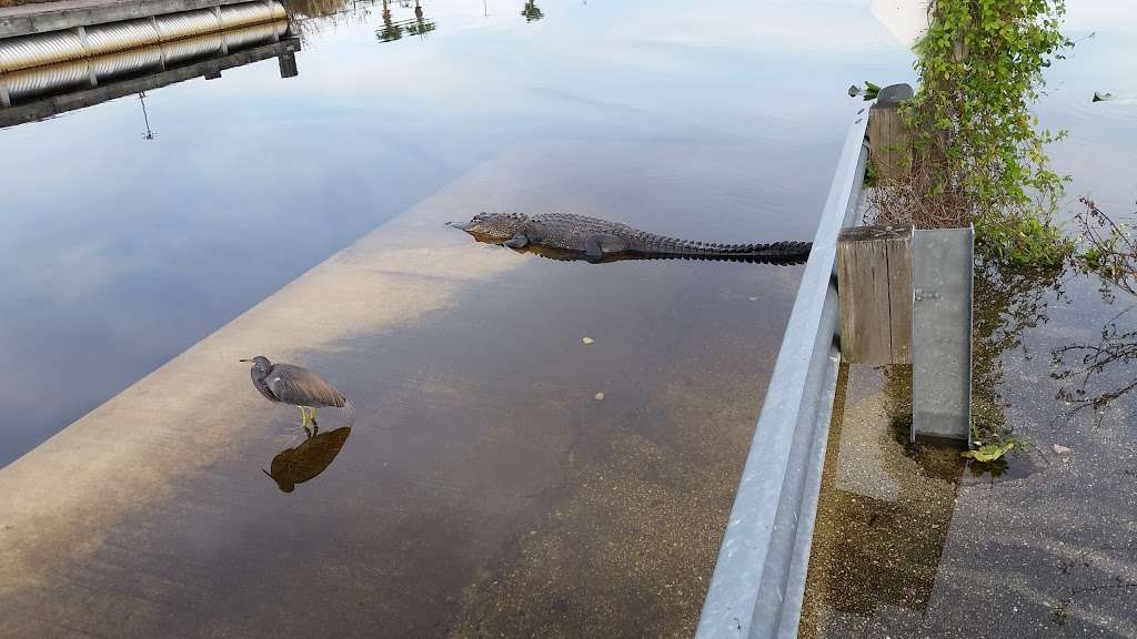 I-75 fishing