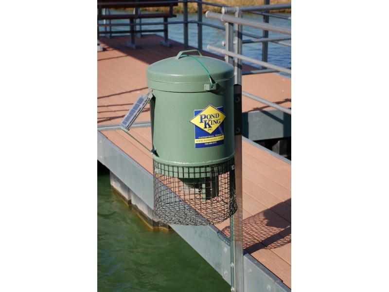 Why Choose a Dock Fish Feeder?