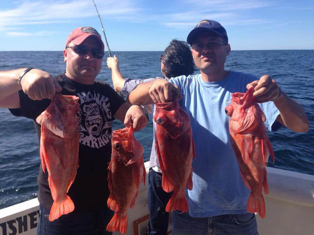 The Best Ensenada Fishing Charters for Thrilling Fishing Experience