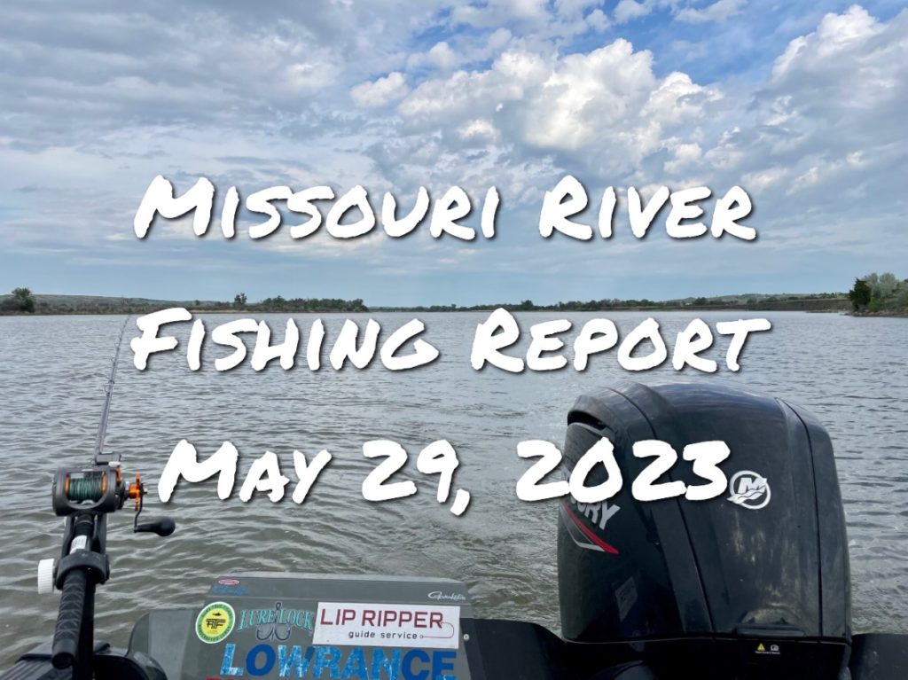 Missouri river fishing report south dakota