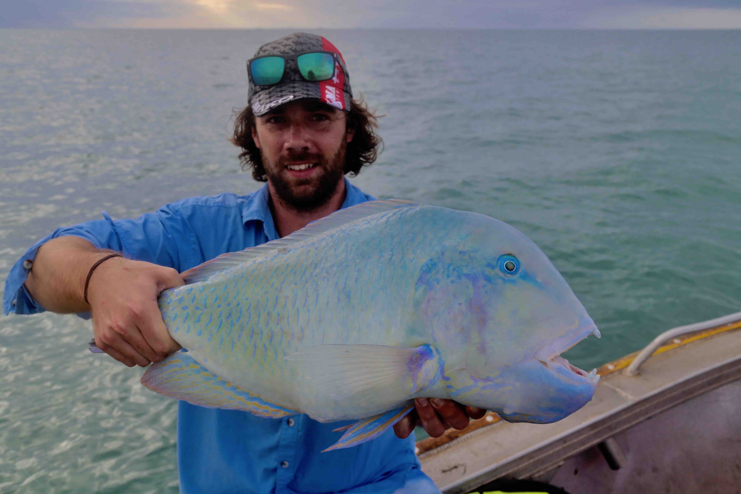 Understanding Bluebone Behavior and Feeding Patterns