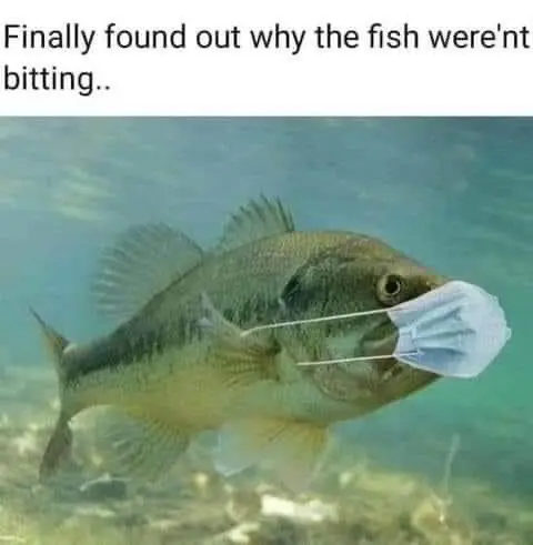 Fishing meme