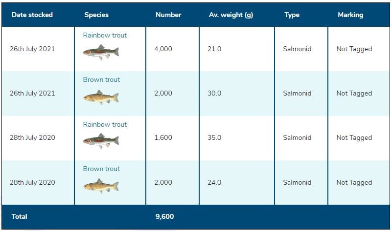 Lake hamilton fishing report