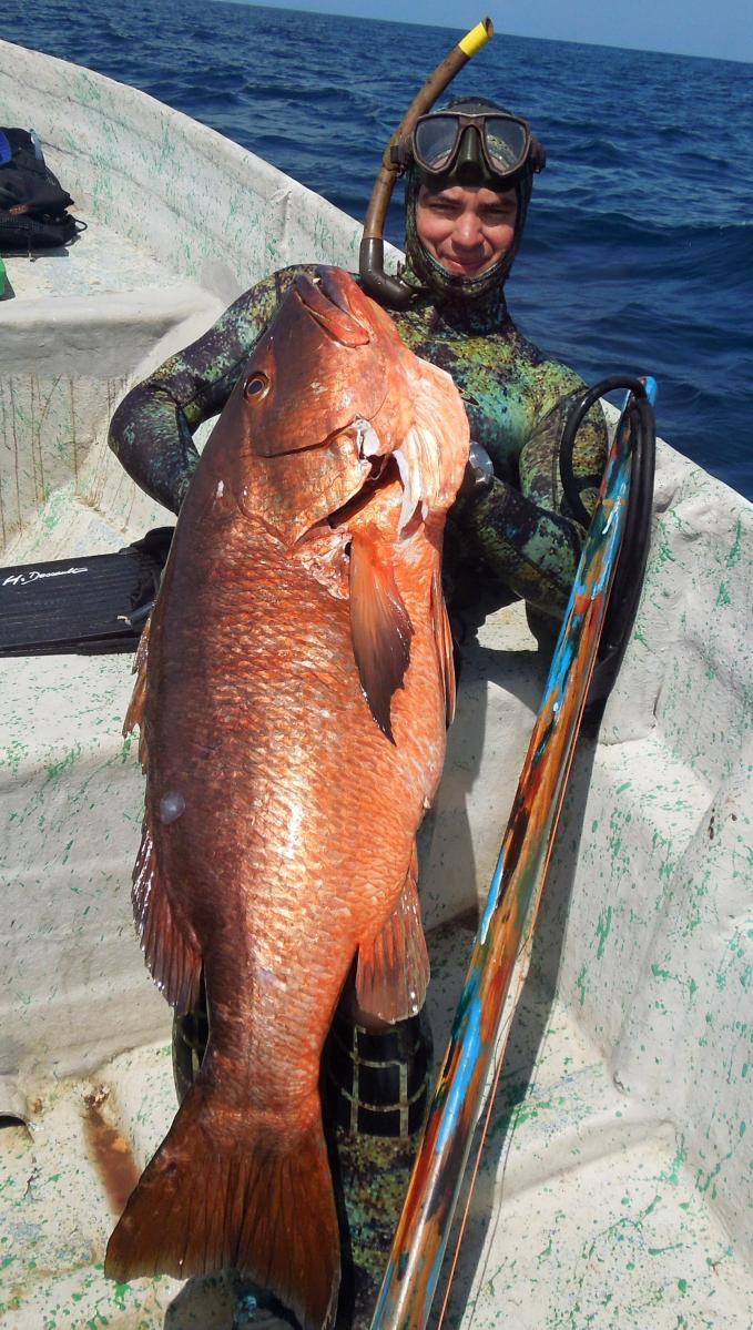 Pargo fish