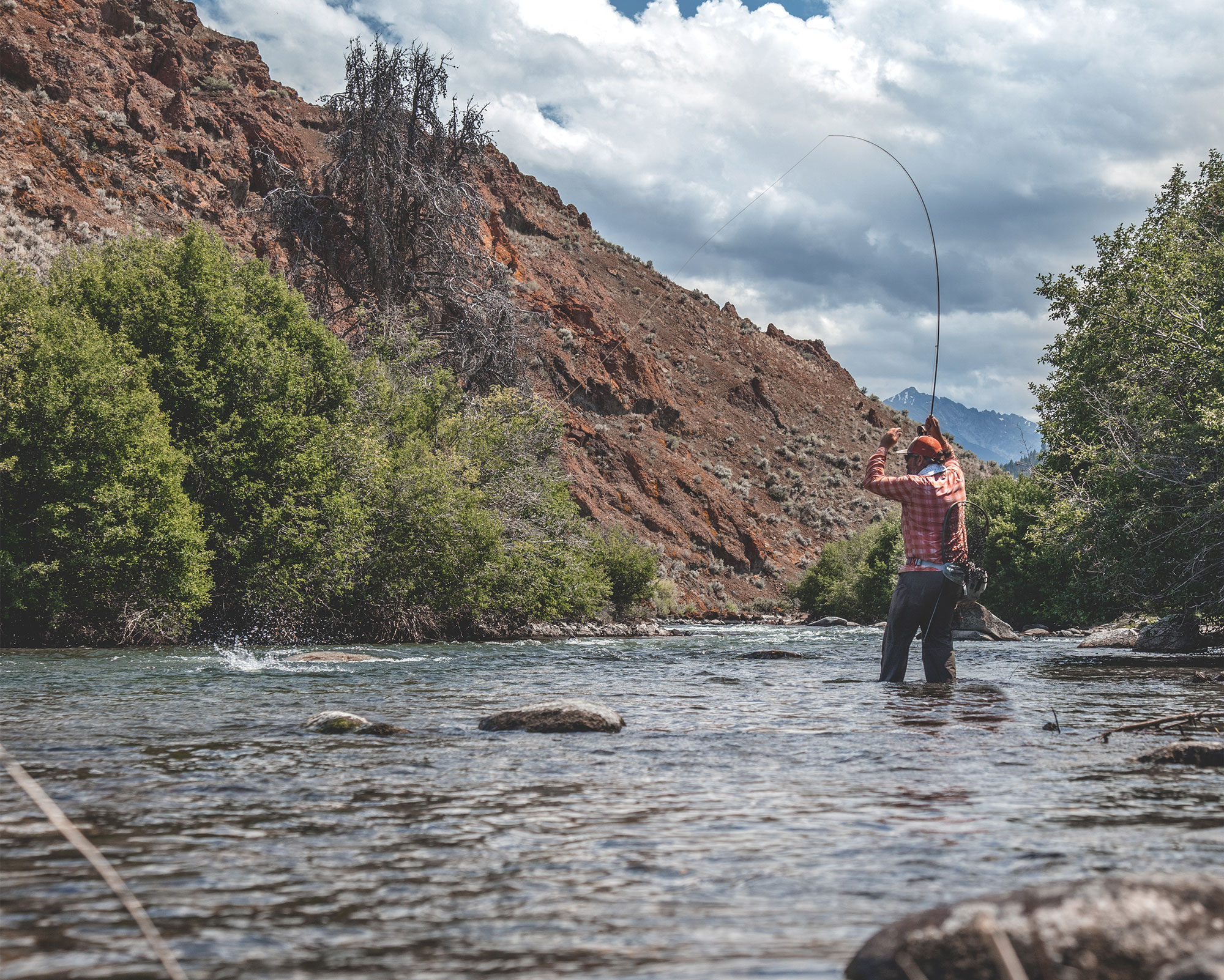 Silver Creek Fishing Report