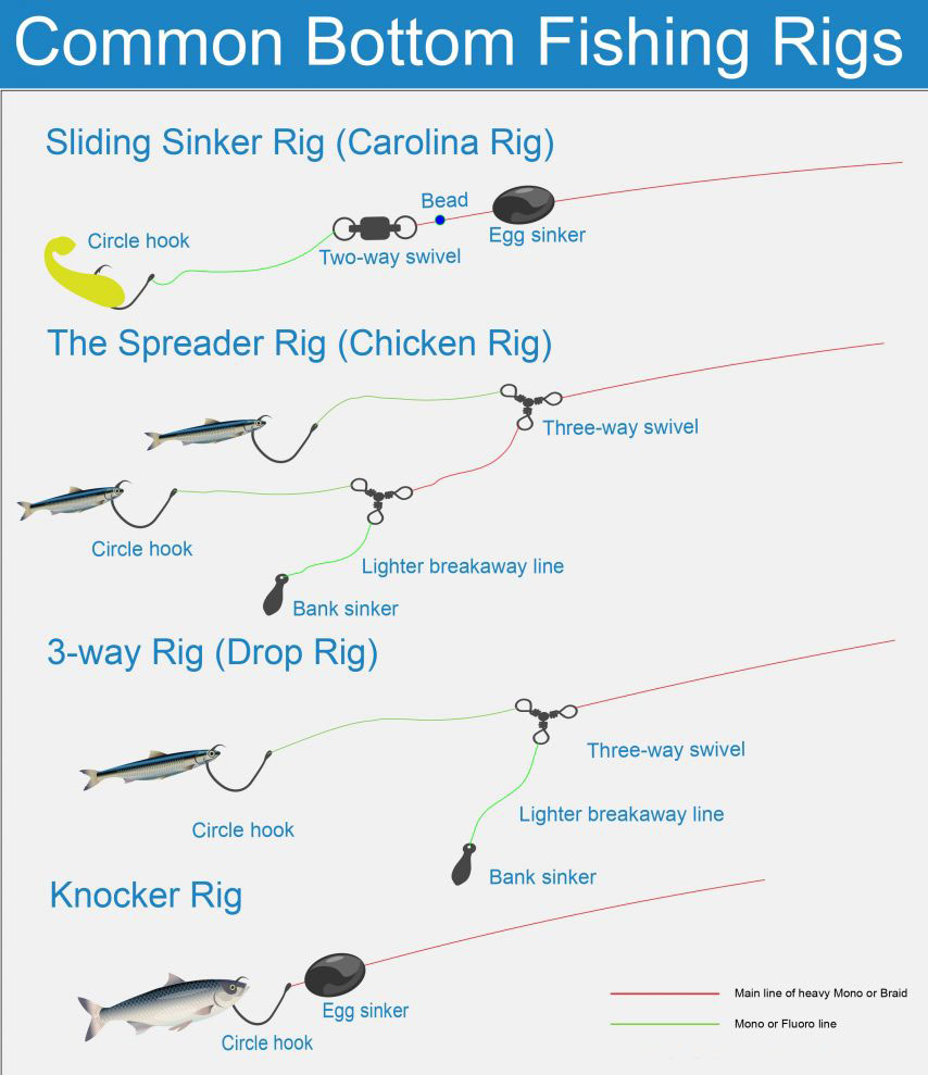 Manage Your Line and Reel with Precision