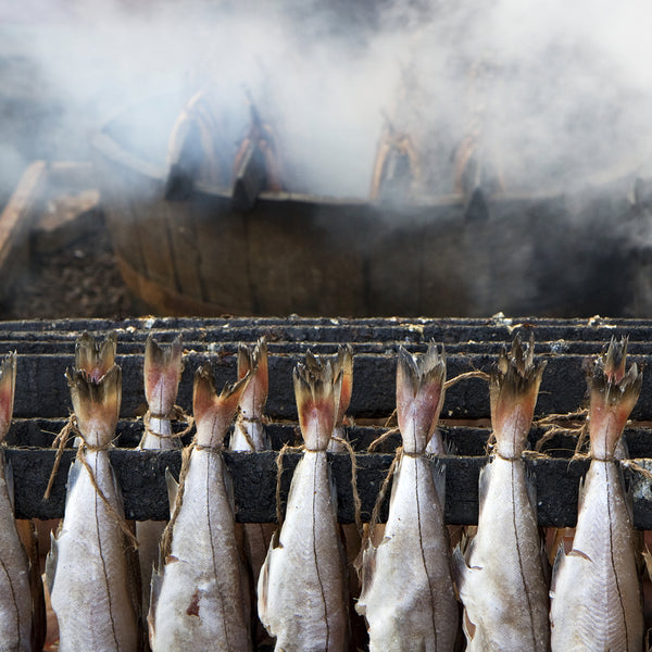 Gas Fish Smokers: Quick and Even Cooking