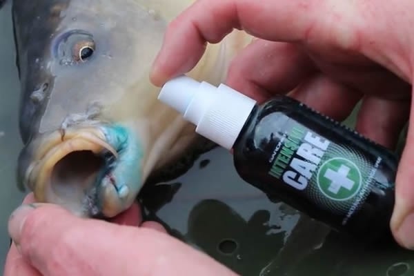 Fish care spray