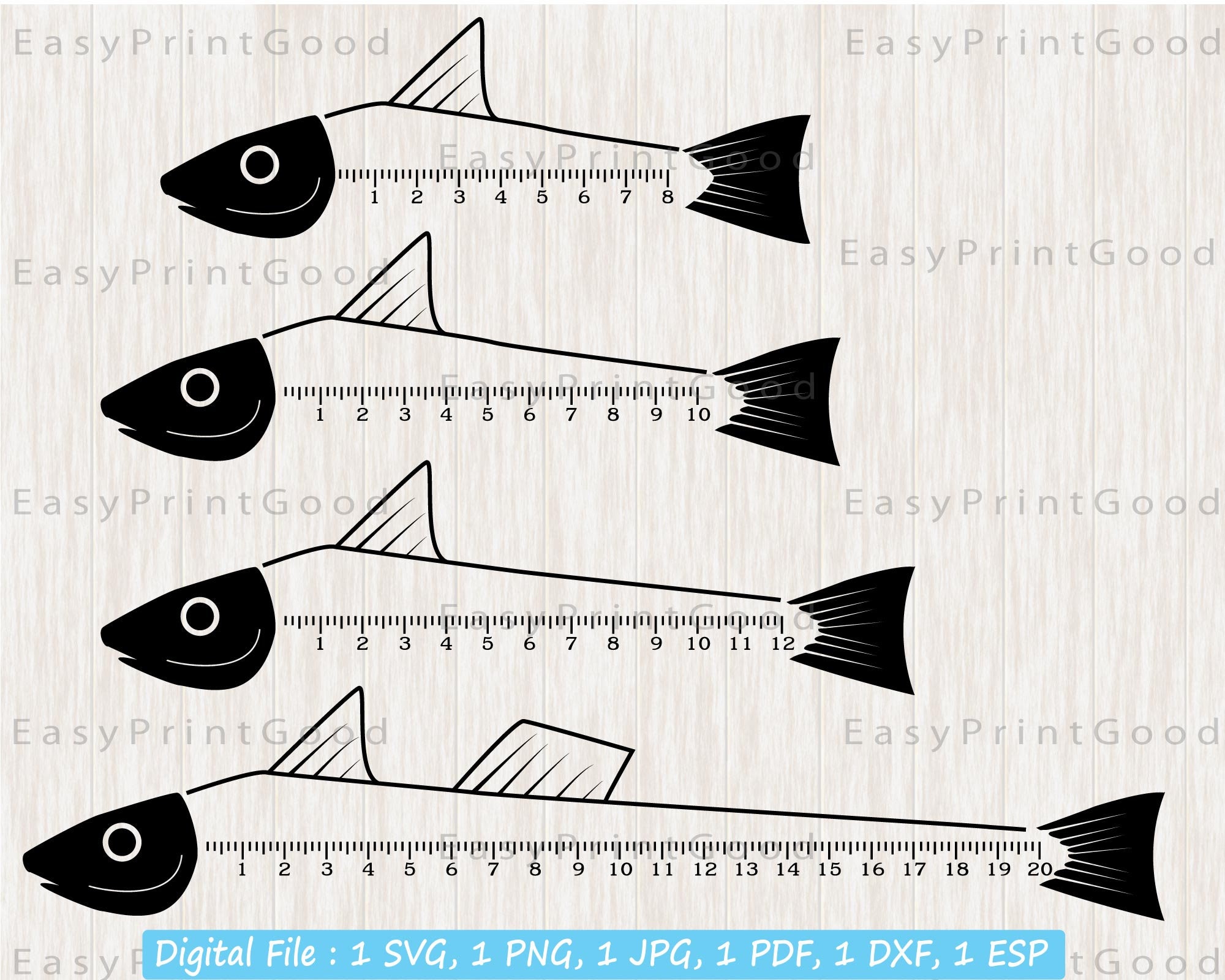 Discover the Best Fish Rulers for Accurate Measurements | Your Guide to