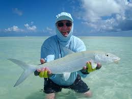 Anguilla fishing