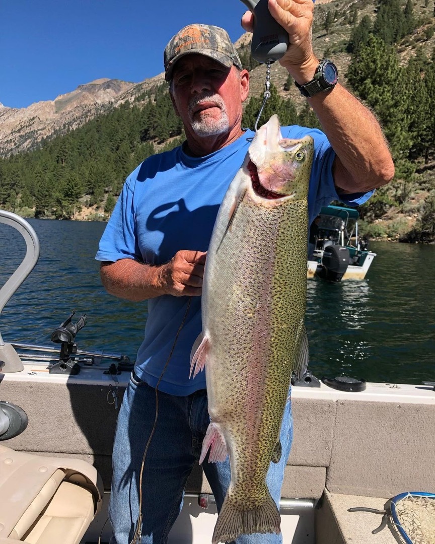 Bridgeport lake fishing report