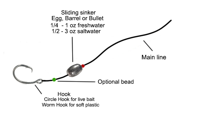 Knocker rig fishing