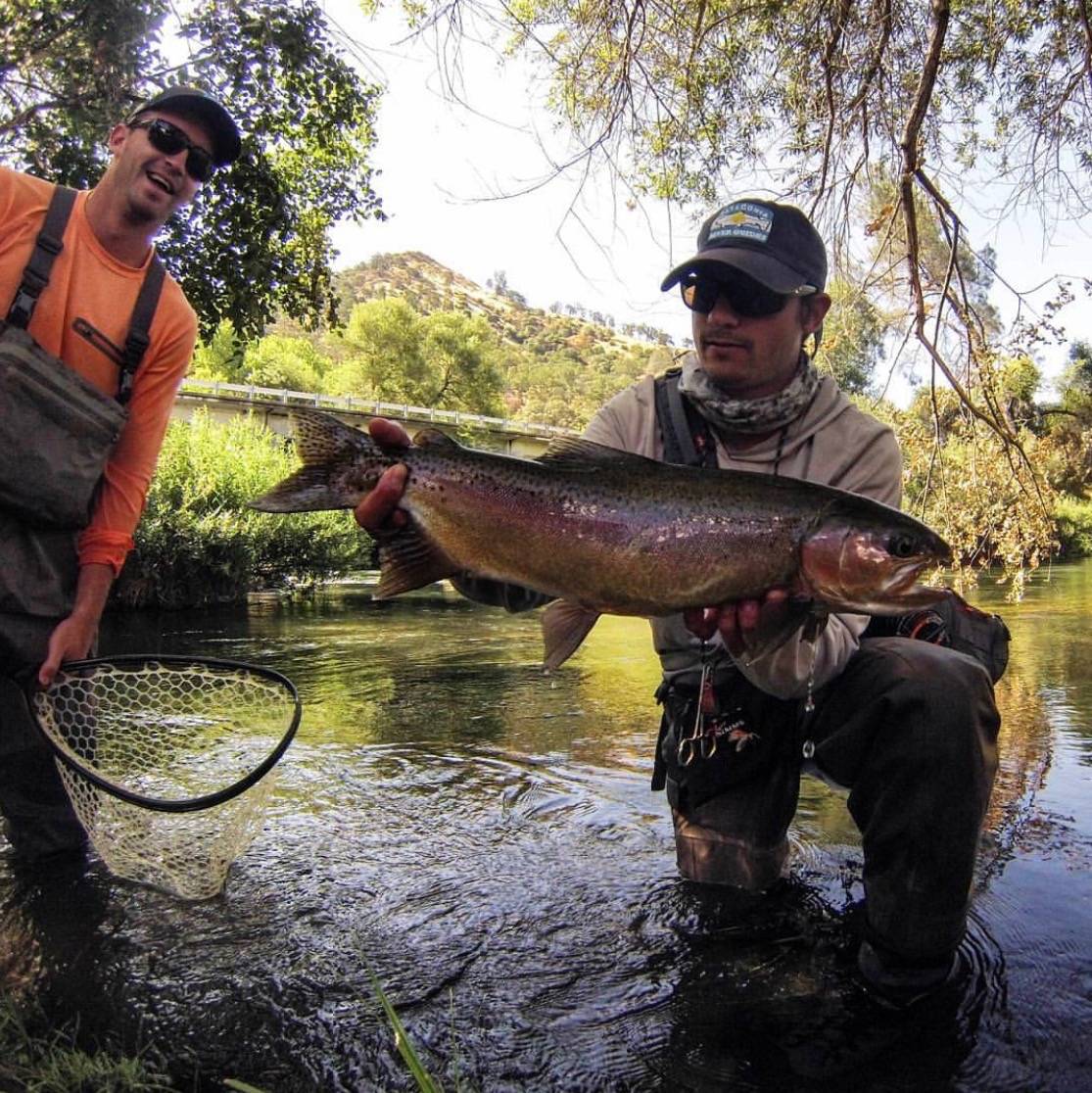 Putah creek fishing report