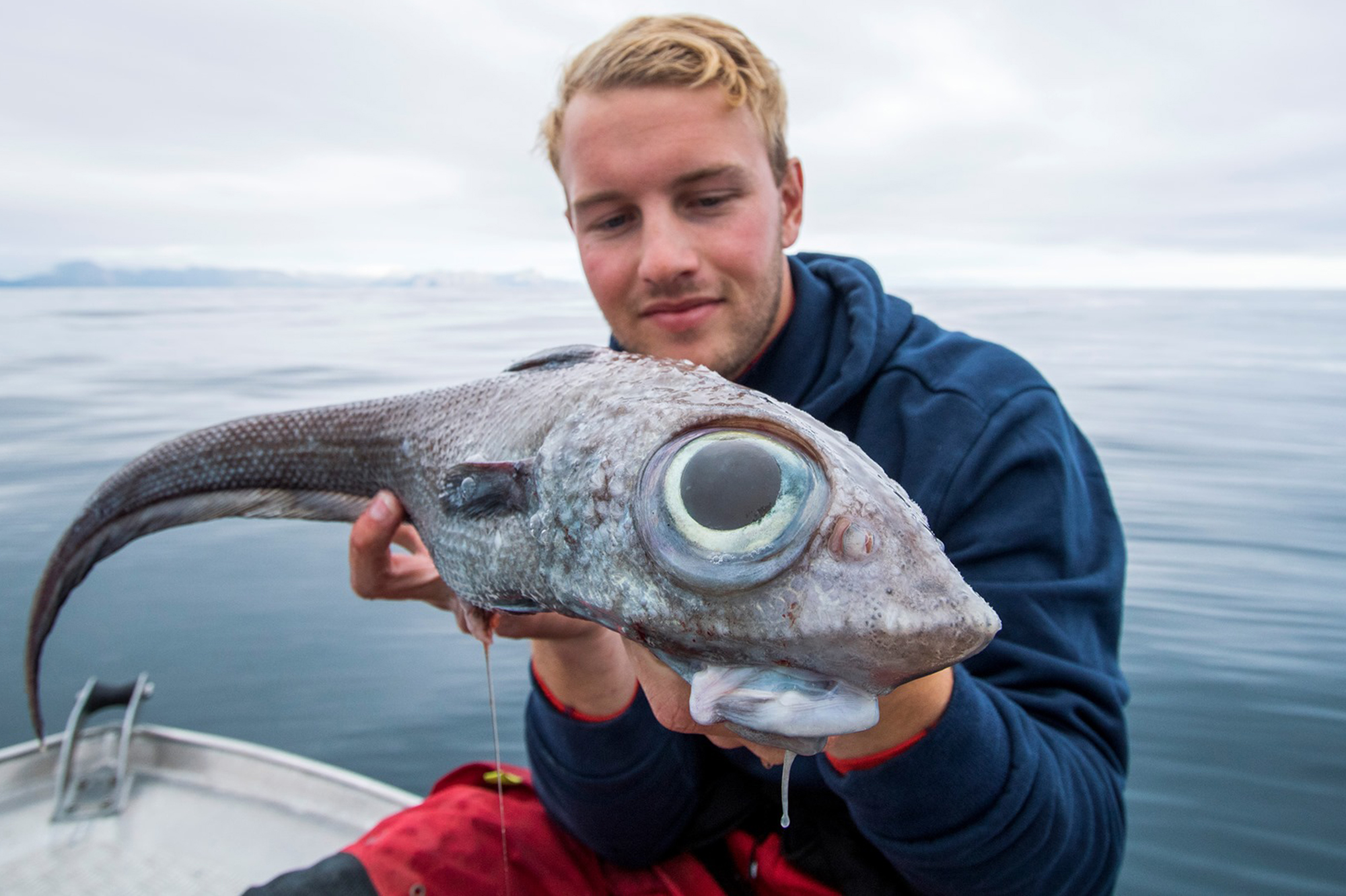 Top 5 Most Common Big Eyed Fish Varieties