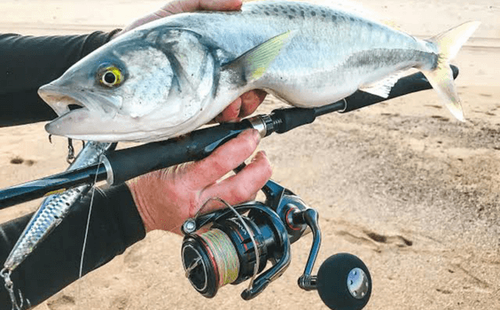 Benefits of choosing the right fishing rod for salmon fishing: