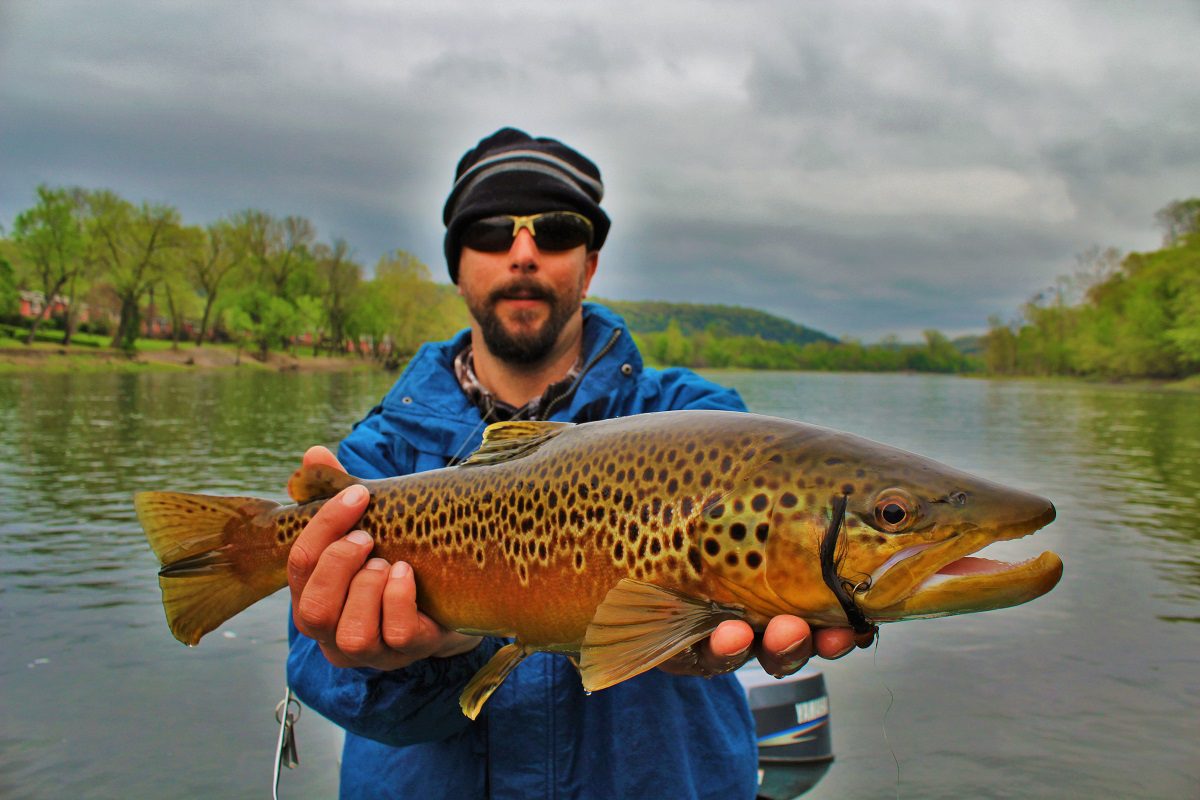 Bank fishing white river arkansas