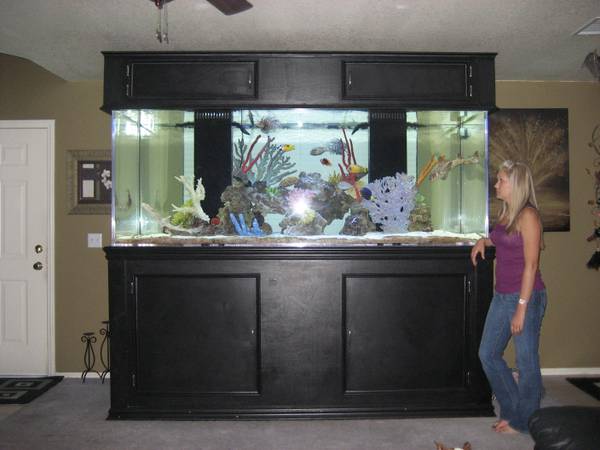 Overview of 80 Gallon Aquarium Dimensions