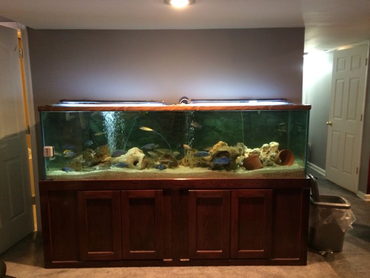 220 gallon fish tank