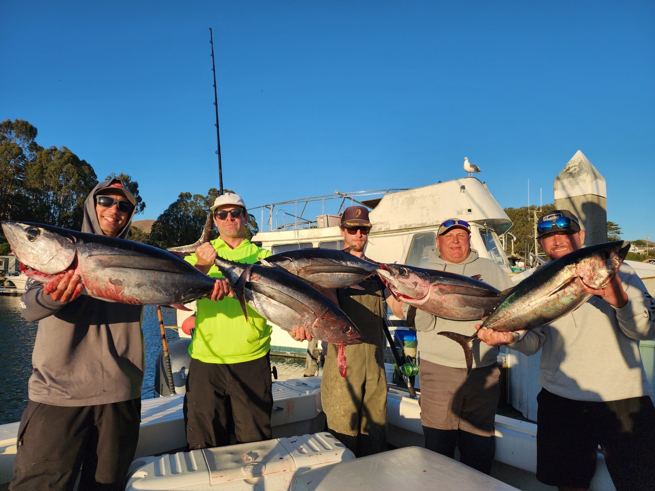 Tomales Bay Fishing Report: What You Need to Know!