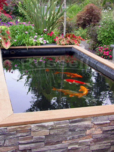 Koi fish tank ideas