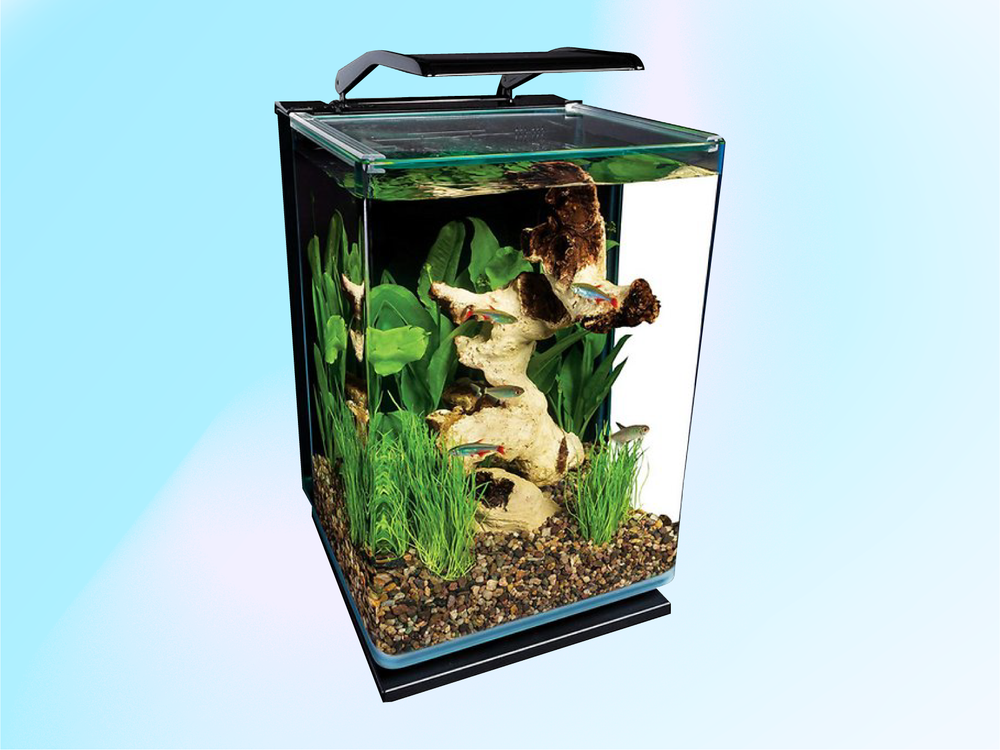 Best small fish tank with filter