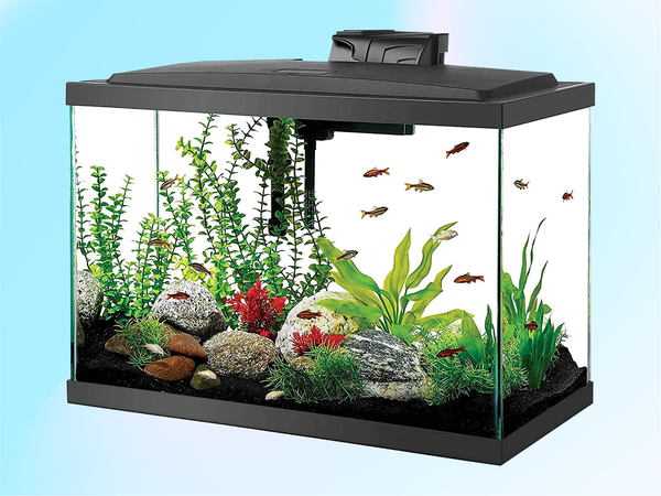 Best aquarium filter for 50 gallon tank