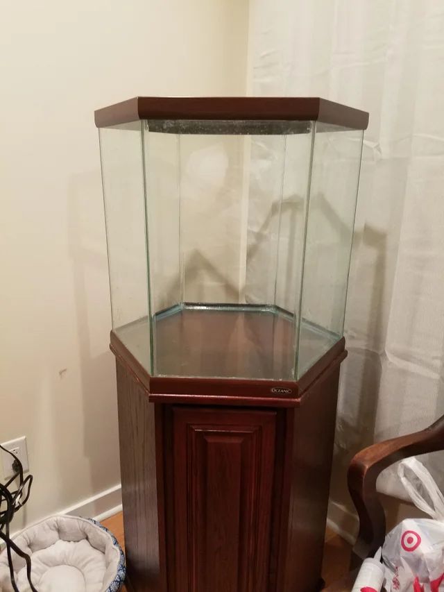 35 gallon hexagon fish tank