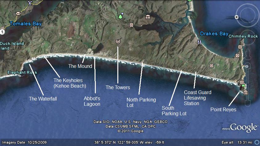 Tomales bay fishing report