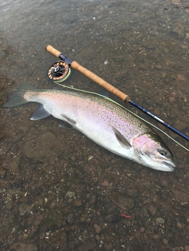 Oak orchard fishing report