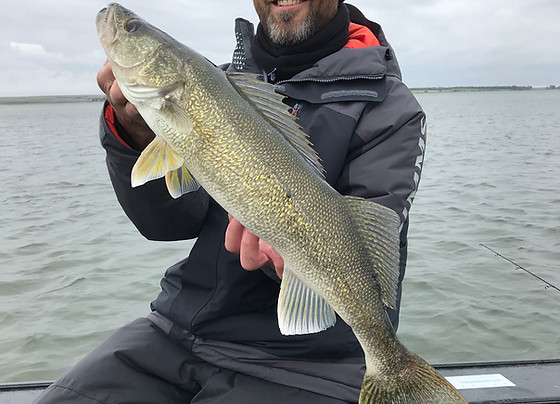 Fishing report lake sakakawea