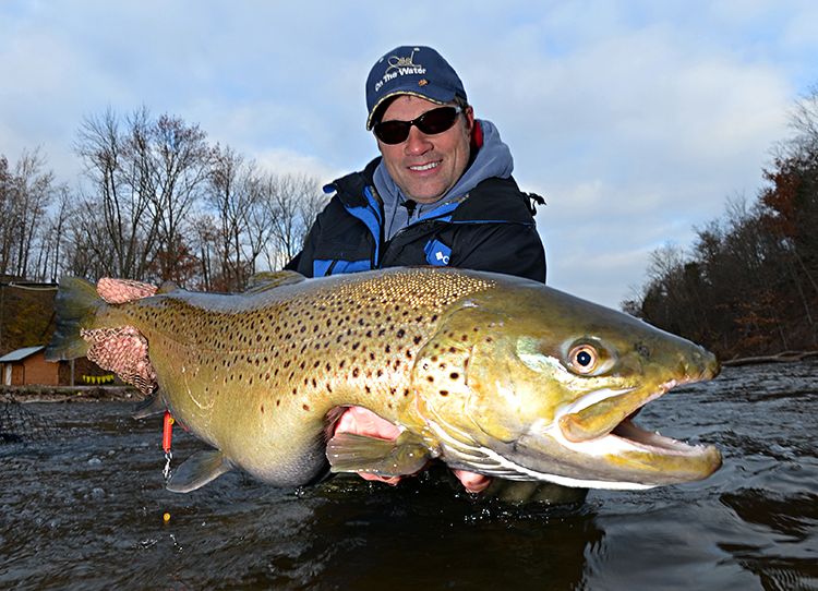 Seasonal Fish Species