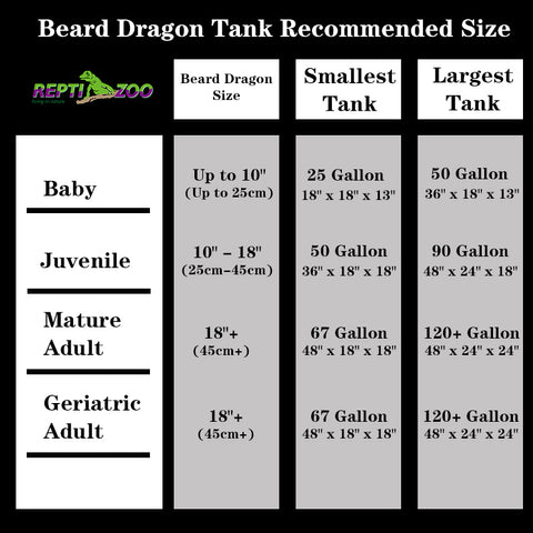 Choosing the Right Size Aquarium