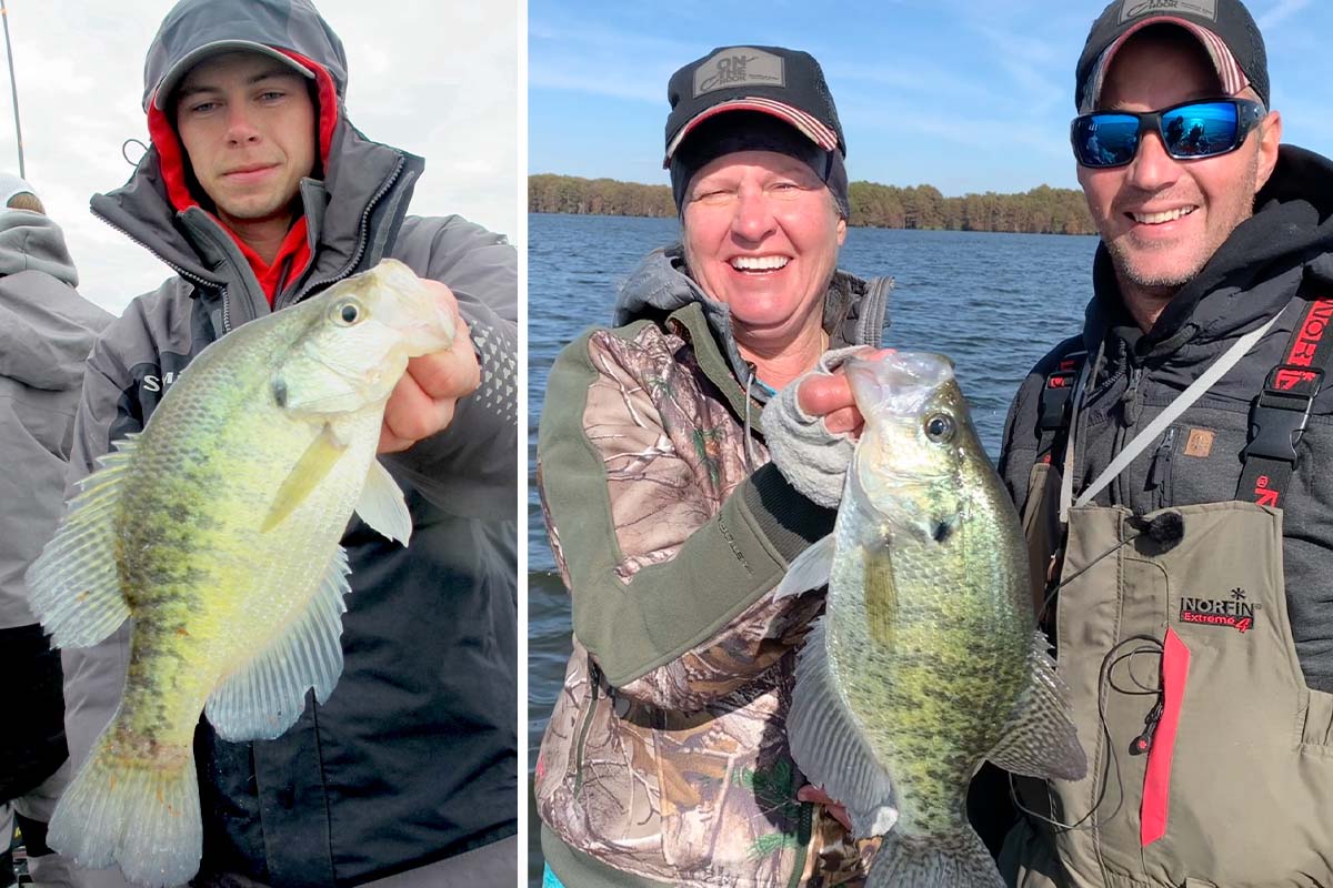 Reelfoot Lake Fishing Report Current Conditions and Best Spots