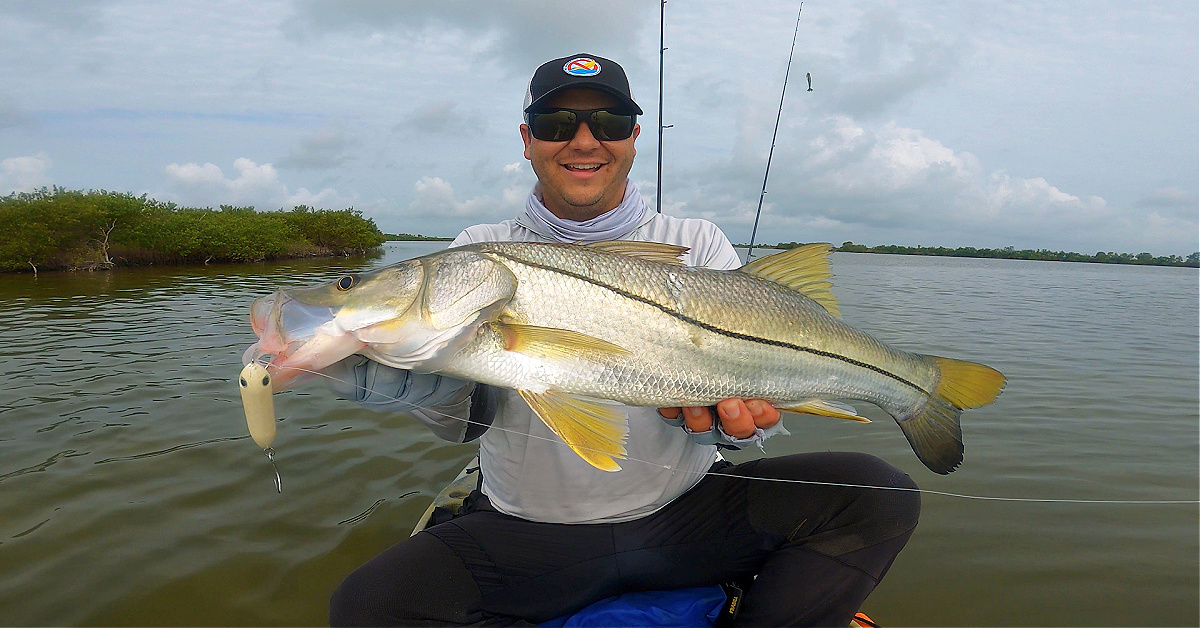 Mosquito lagoon fishing report